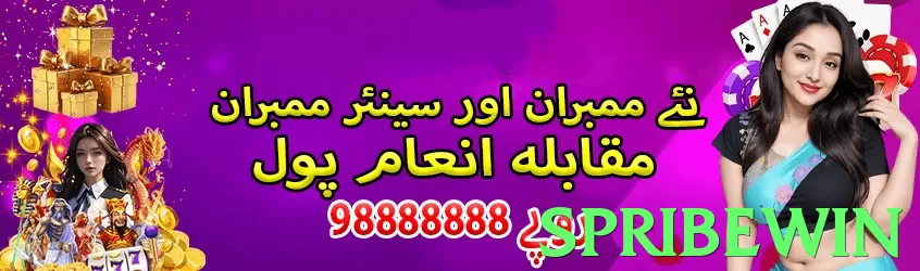 spribewin Pakistan - 3