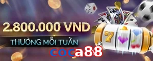 coca88