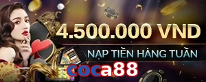 coca88