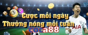 coca88